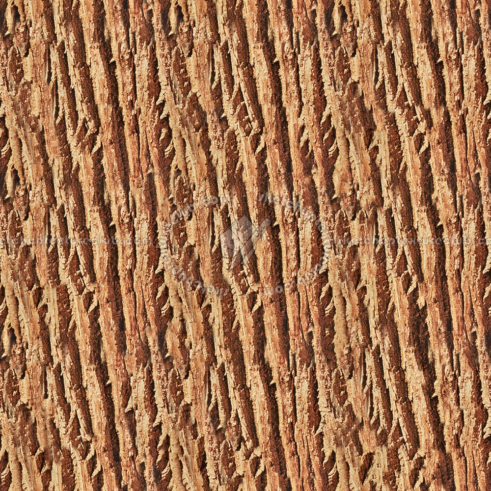 Textures   -   NATURE ELEMENTS   -   BARK  - Bark texture seamless 12360 (seamless)