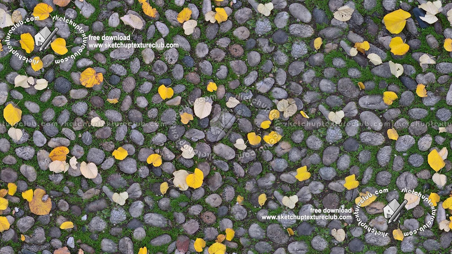 Textures   -   ARCHITECTURE   -   ROADS   -   Paving streets   -   Rounded cobble  - Rounded cobblestone with dead leaves texture seamless 19063 (seamless)