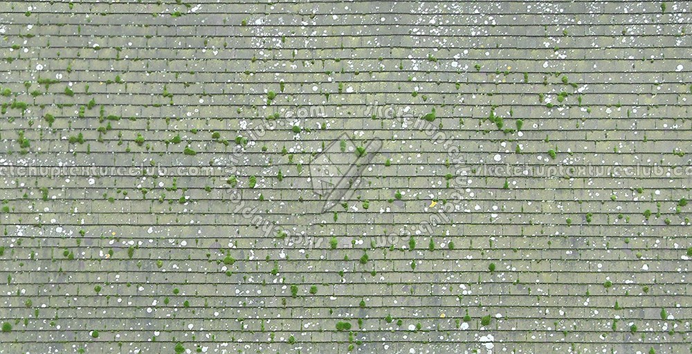 Textures   -   ARCHITECTURE   -   ROOFINGS   -   Flat roofs  - England old flat clay roof tiles texture seamless 03575 (seamless)