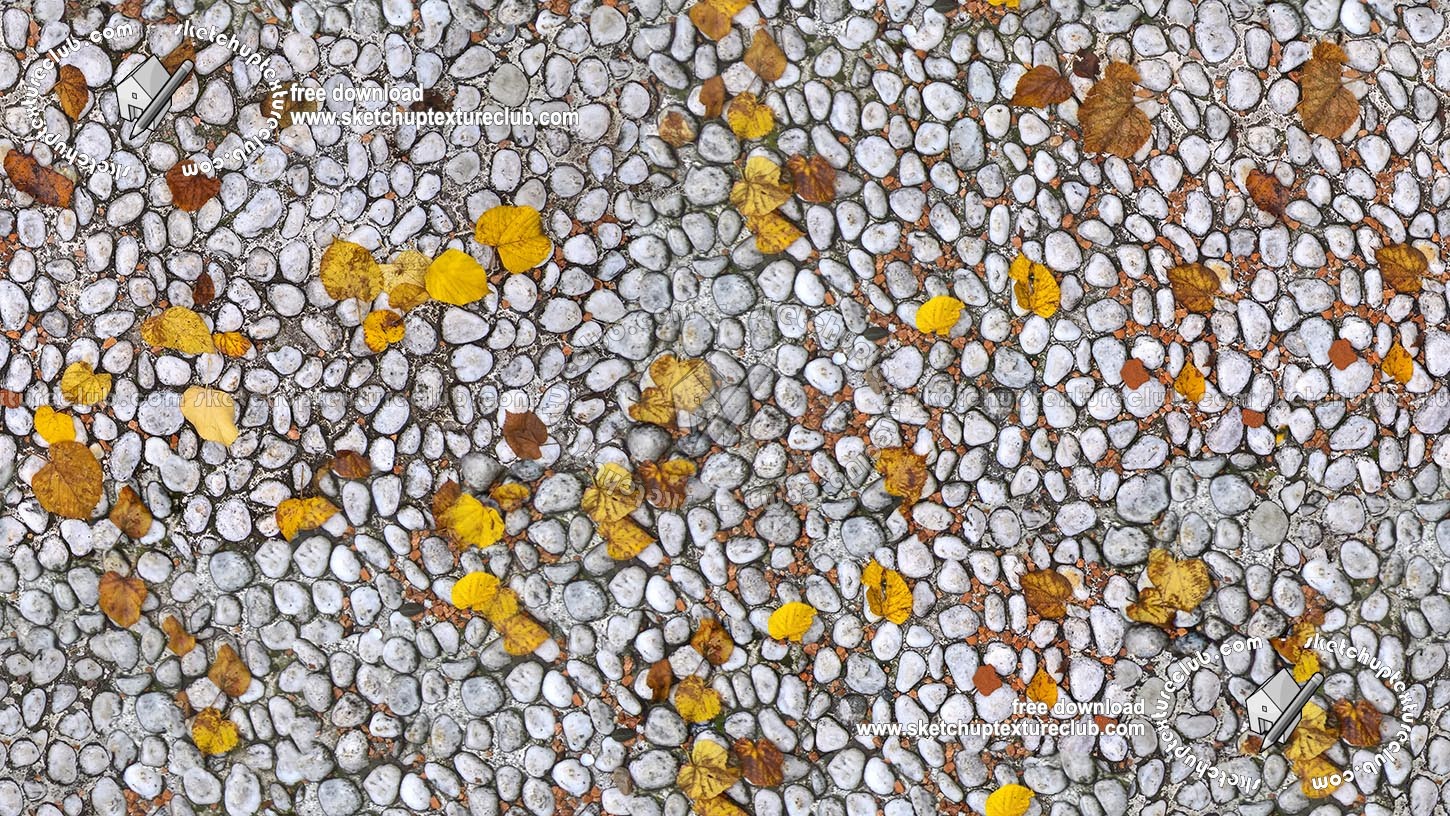 Textures   -   ARCHITECTURE   -   ROADS   -   Paving streets   -   Rounded cobble  - White rounded cobblestone with dead leaves texture seamless 19065 (seamless)