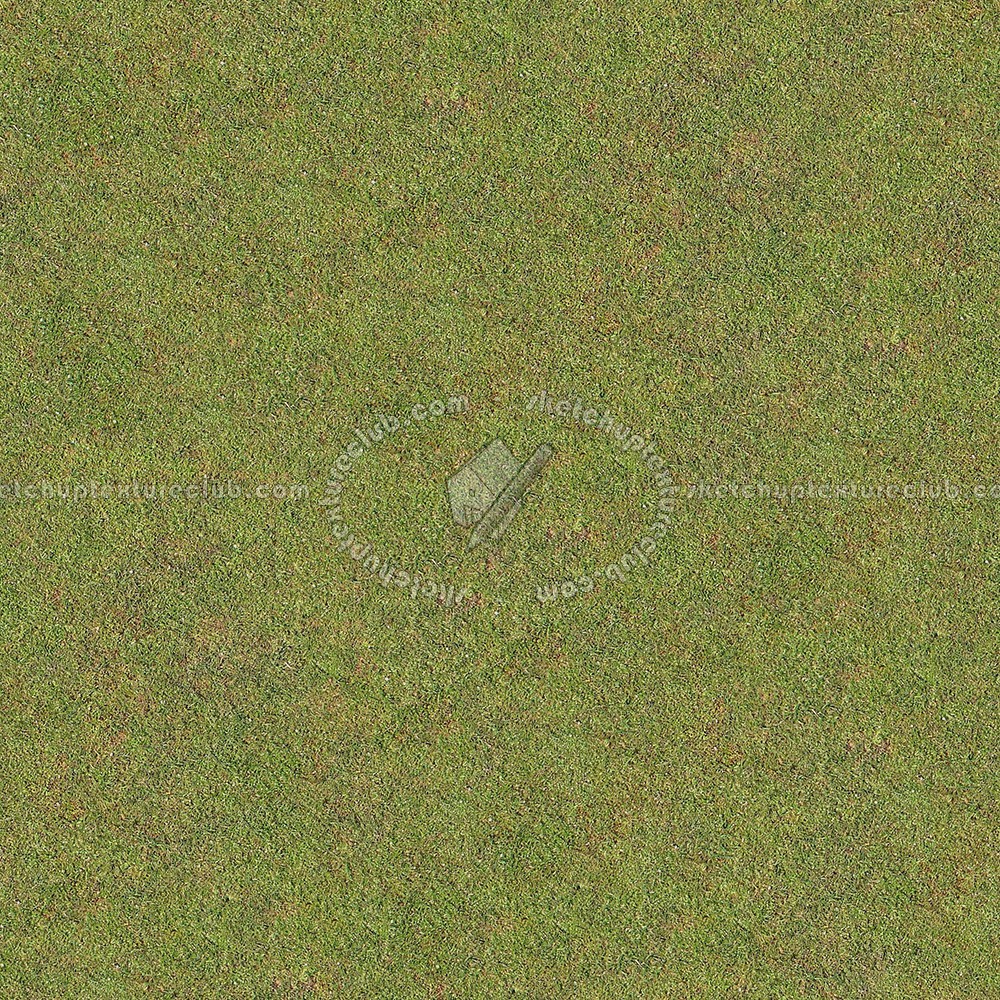 Textures   -   NATURE ELEMENTS   -   VEGETATION   -   Green grass  - Green grass texture seamless 13023 (seamless)