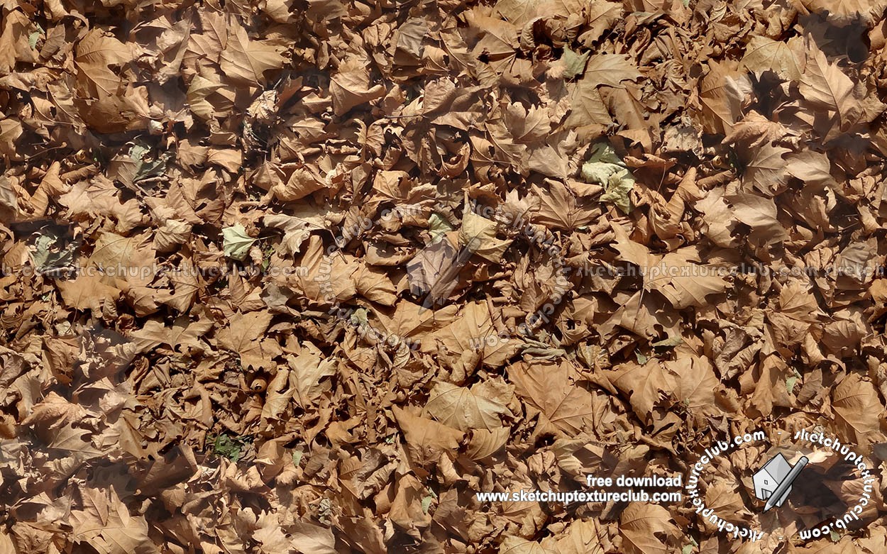 Textures   -   NATURE ELEMENTS   -   VEGETATION   -   Leaves dead  - Leaves dead texture seamless 18645 (seamless)