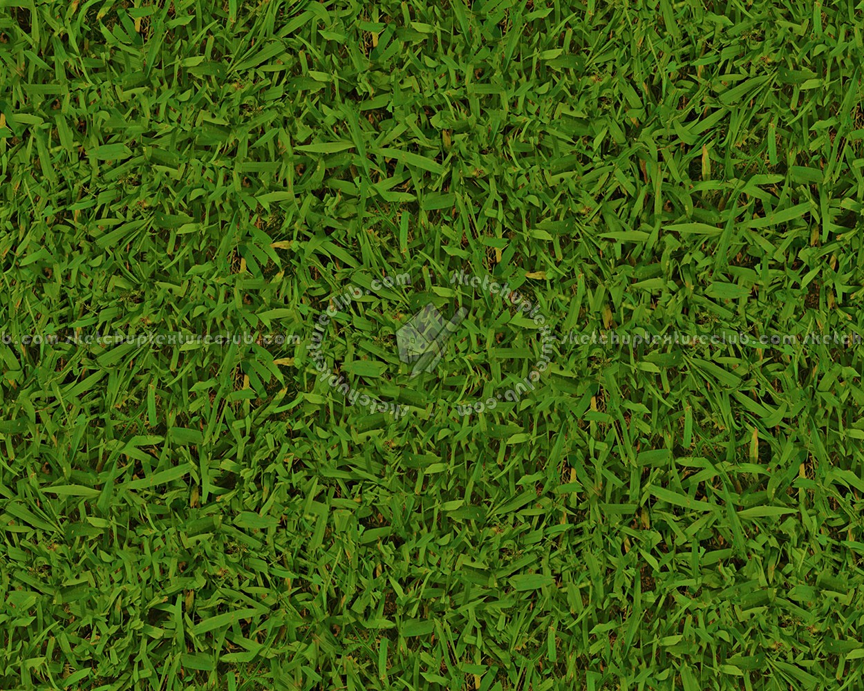 Textures   -   NATURE ELEMENTS   -   VEGETATION   -   Green grass  - Green grass texture seamless 13027 (seamless)