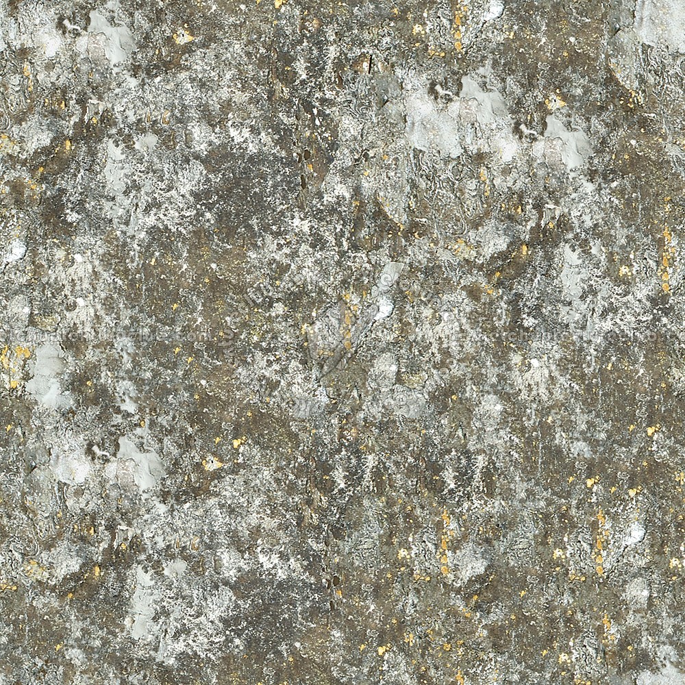 Textures   -   ARCHITECTURE   -   STONES WALLS   -   Wall surface  - Dirty stone wall surface texture seamless 08647 (seamless)