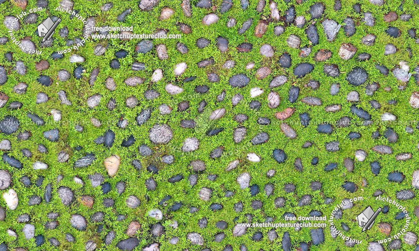 Textures   -   ARCHITECTURE   -   ROADS   -   Paving streets   -   Rounded cobble  - Road rounded cobblestone with green grass texture seamless 19752 (seamless)