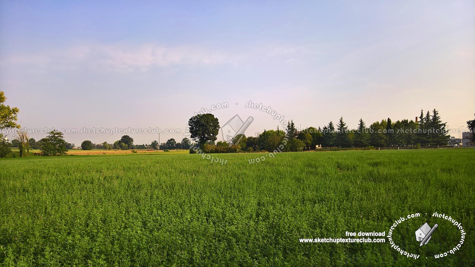 Textures   -   BACKGROUNDS &amp; LANDSCAPES   -   NATURE   -   Countrysides &amp; Hills  - Countrysides landscape texture 17985