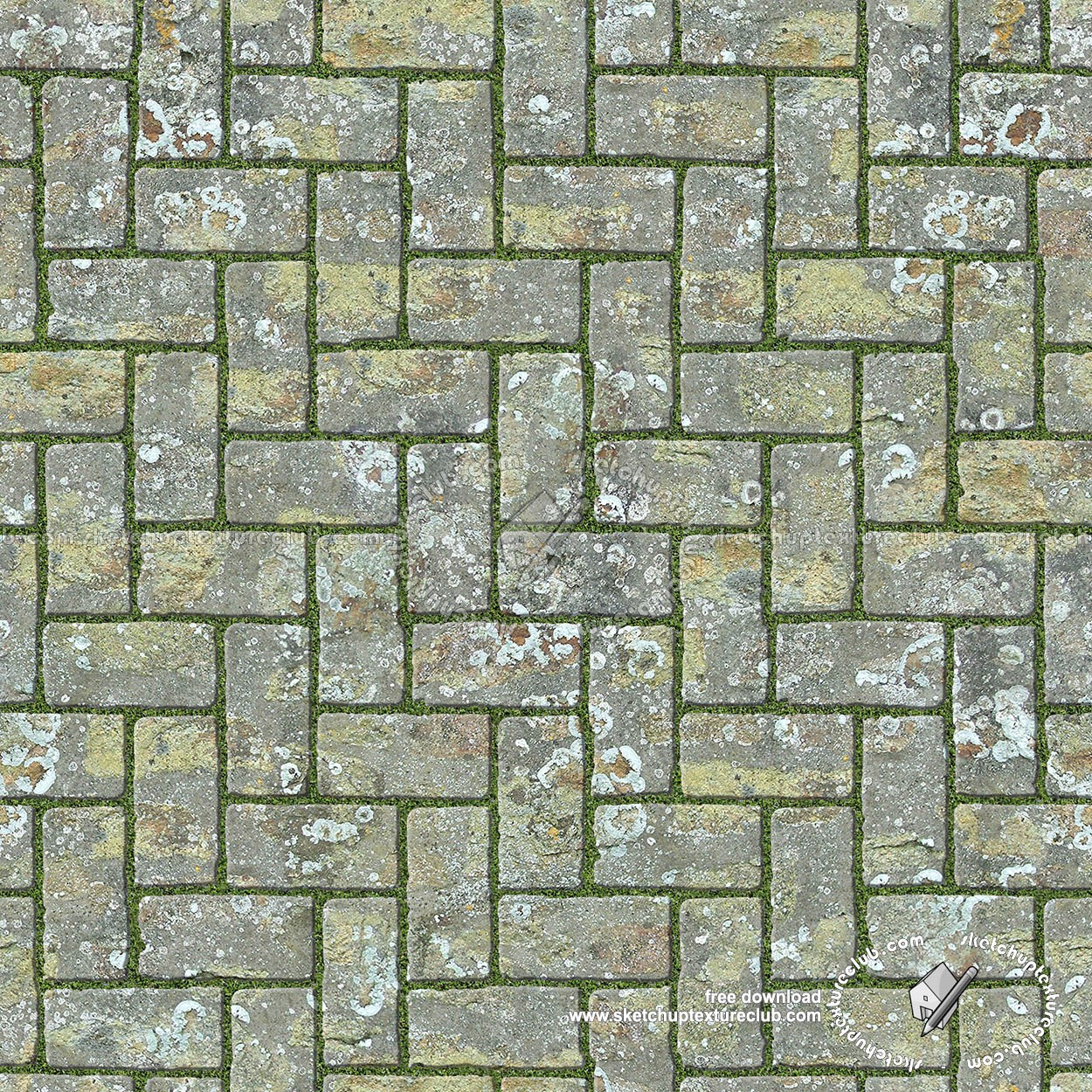 Textures   -   ARCHITECTURE   -   PAVING OUTDOOR   -   Parks Paving  - Damaged stone park paving texture seamless 18818 (seamless)