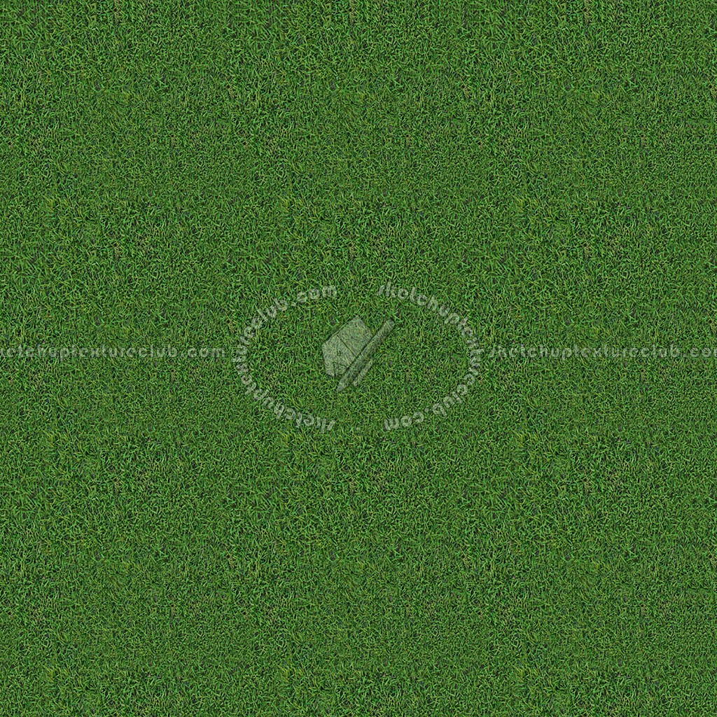 Textures   -   NATURE ELEMENTS   -   VEGETATION   -   Green grass  - Green grass texture seamless 13029 (seamless)