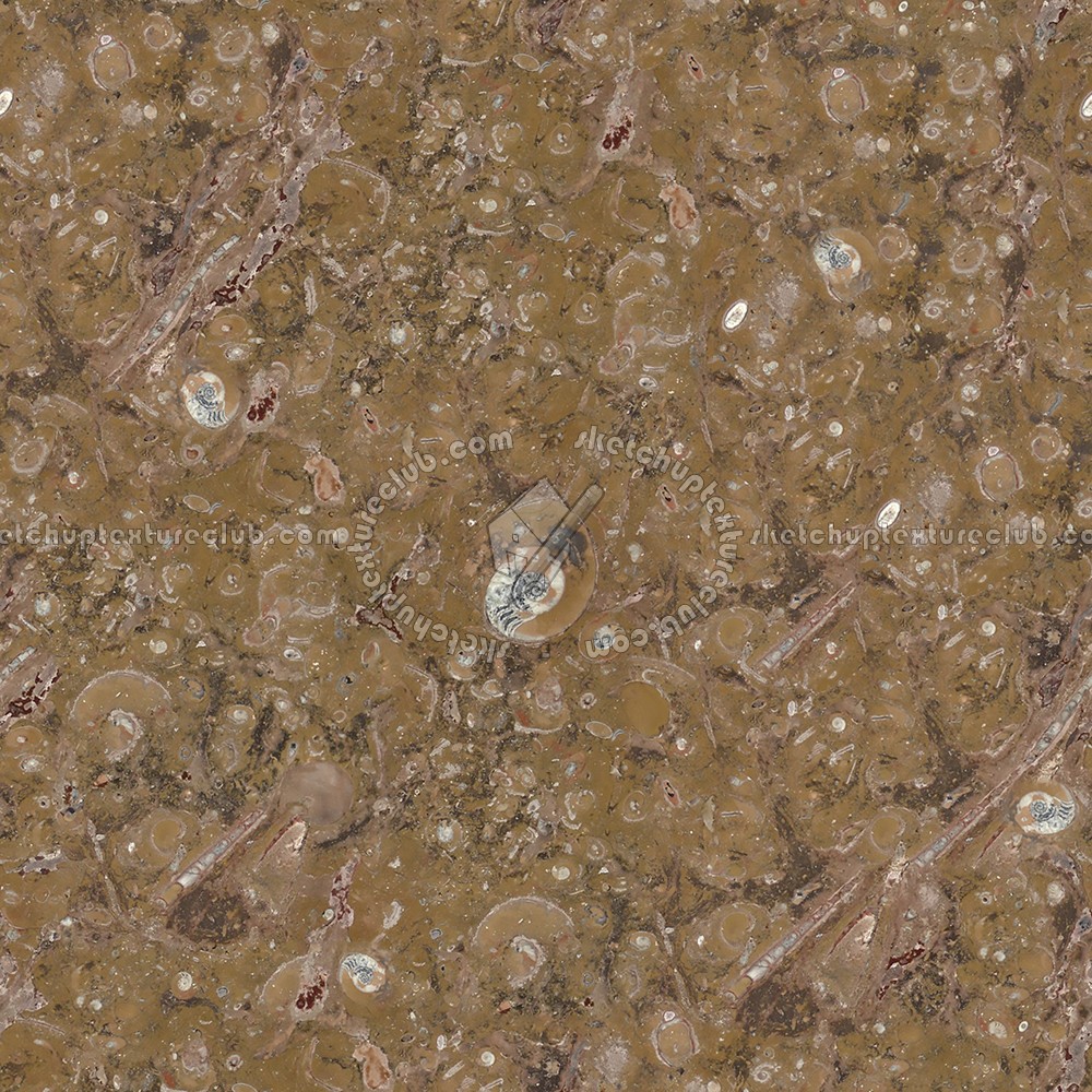 Textures   -   ARCHITECTURE   -   MARBLE SLABS   -   Brown  - Slab marble fossil brown texture seamless 02031 (seamless)