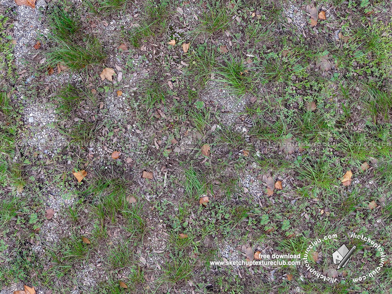 Textures   -   NATURE ELEMENTS   -   VEGETATION   -   Leaves dead  - Grass with dead leaves texture seamless 18650 (seamless)