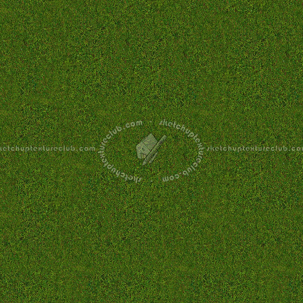 Textures   -   NATURE ELEMENTS   -   VEGETATION   -   Green grass  - Green grass texture seamless 13030 (seamless)