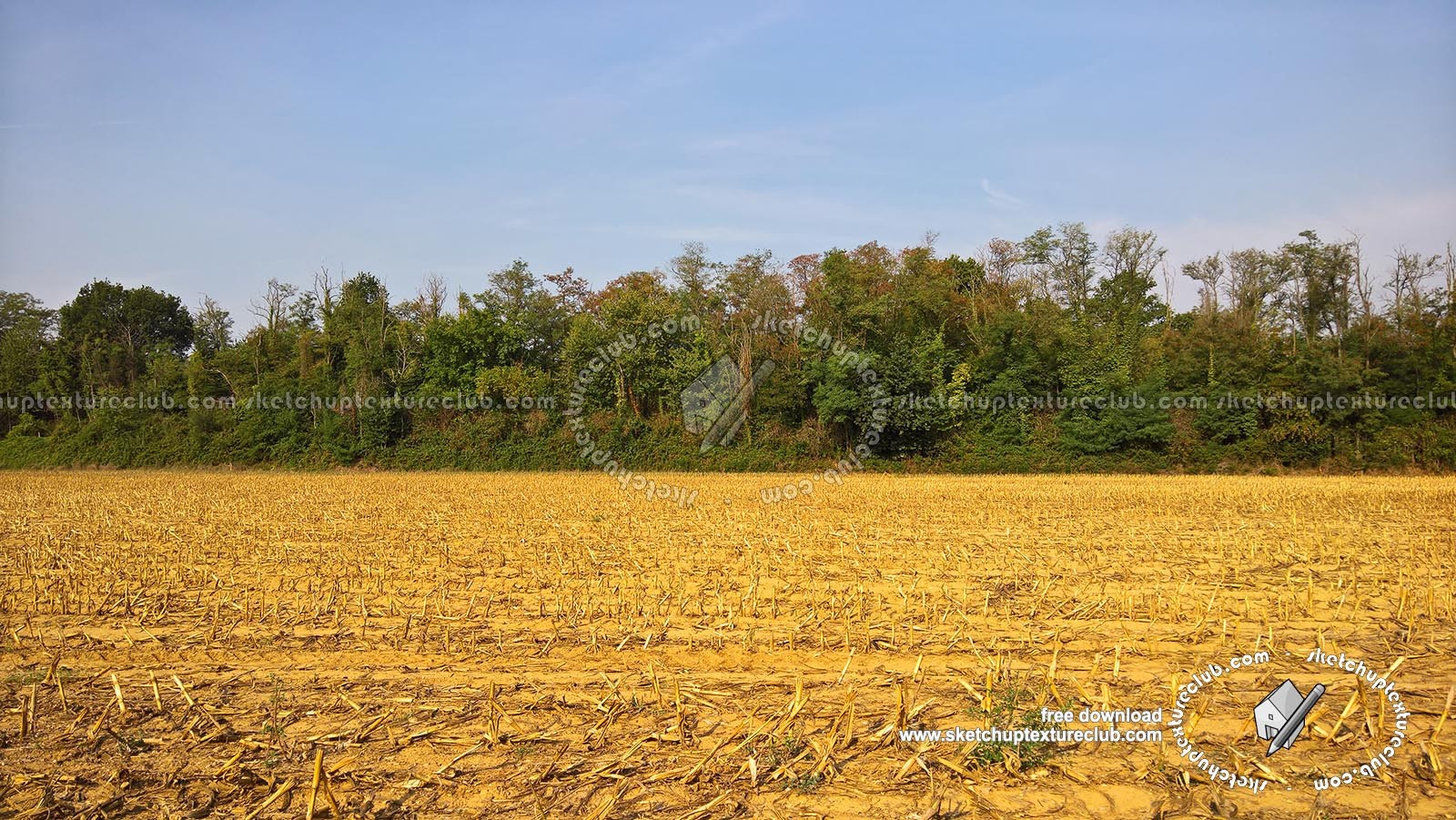 Textures - BACKGROUNDS & LANDSCAPES - NATURE - Countrysides & Hills - Plowed land countrysides landscape texture 17986
