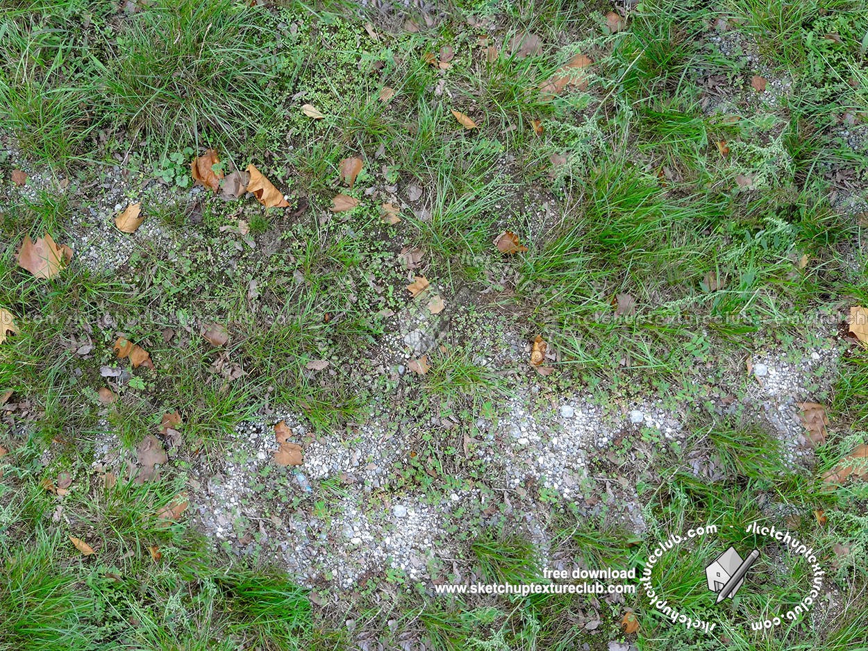 Textures - NATURE ELEMENTS - VEGETATION - Leaves dead - Grass with dead leaves texture seamless 18651 (seamless)
