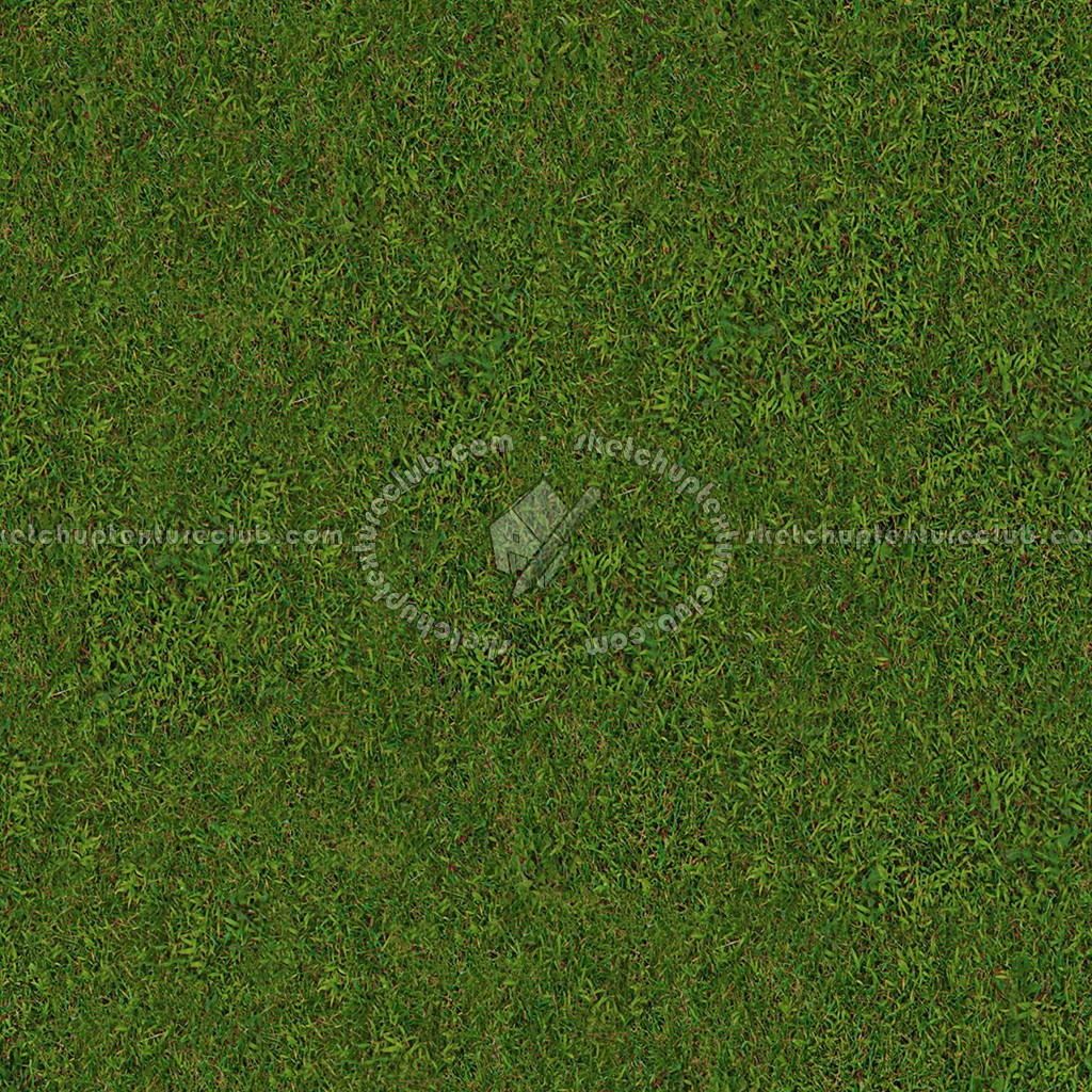 Textures   -   NATURE ELEMENTS   -   VEGETATION   -   Green grass  - Green grass texture seamless 13031 (seamless)