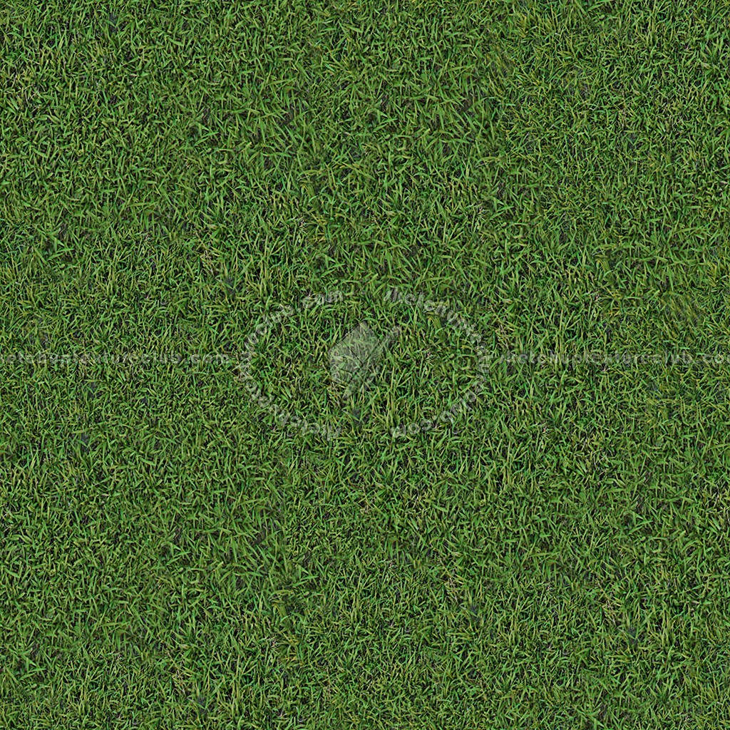 Textures   -   NATURE ELEMENTS   -   VEGETATION   -   Green grass  - Green grass texture seamless 13032 (seamless)