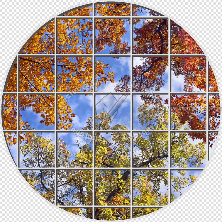 Textures   -   ARCHITECTURE   -   BUILDINGS   -   Windows   -   special windows  - Special window texture 01191