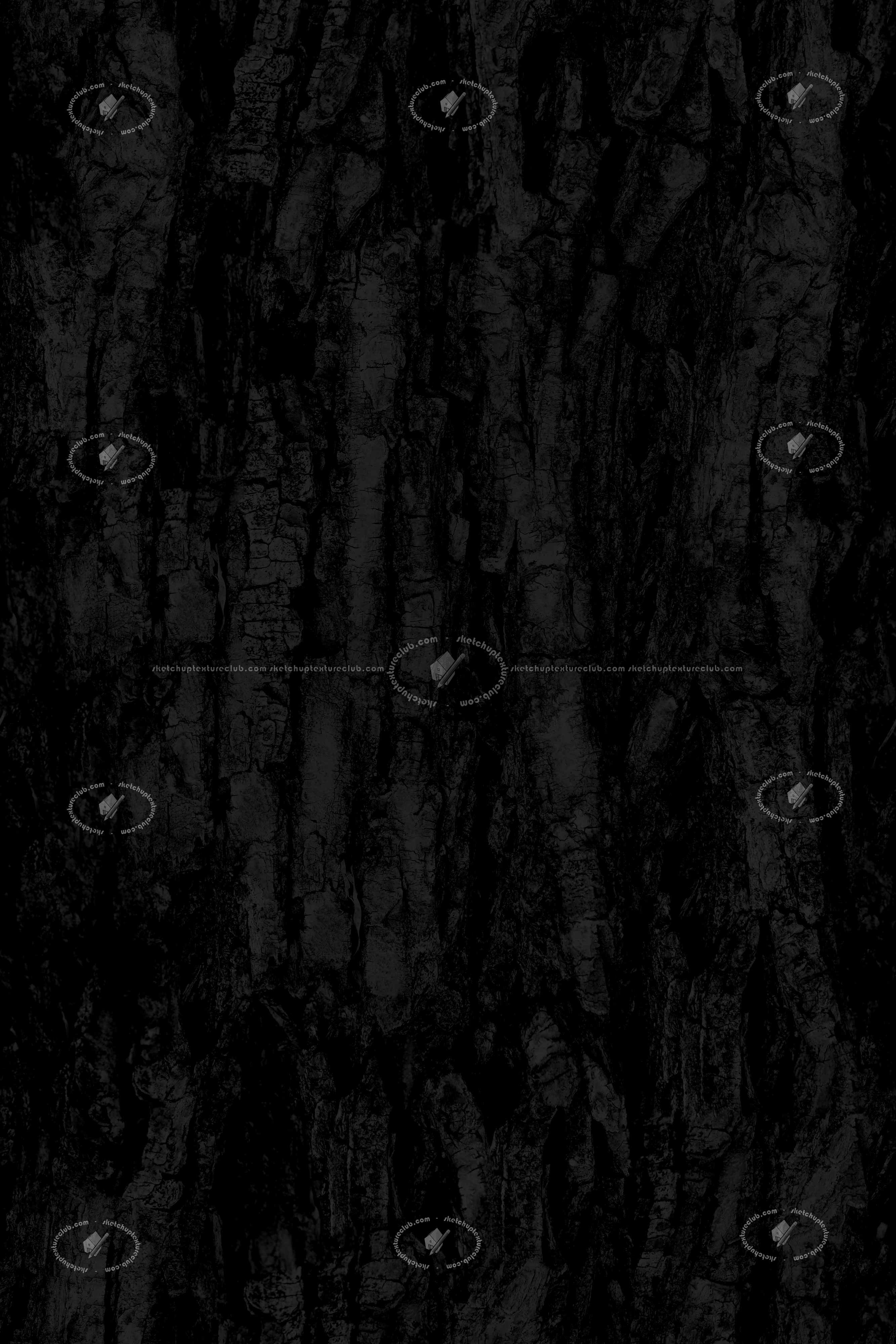 Textures   -   NATURE ELEMENTS   -   BARK  - Bark texture seamless 21248 - Specular