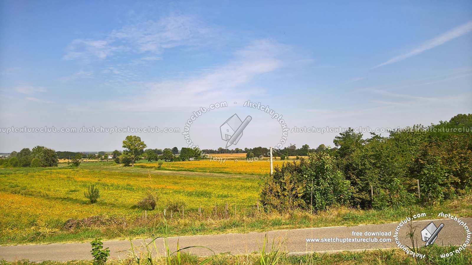 Textures   -   BACKGROUNDS &amp; LANDSCAPES   -   NATURE   -   Countrysides &amp; Hills  - Countrysides landscape texture 17989