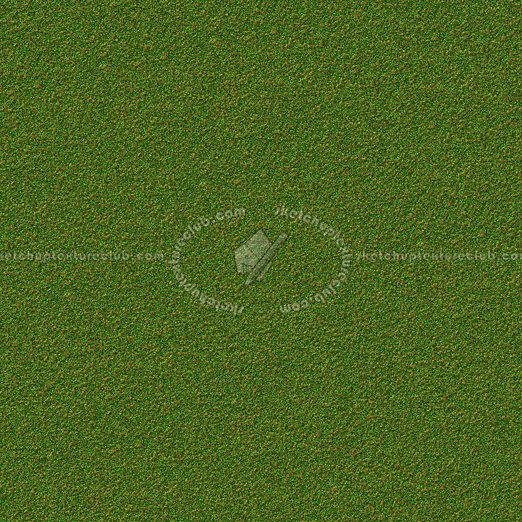 Textures   -   NATURE ELEMENTS   -   VEGETATION   -   Green grass  - Green grass texture seamless 13033 (seamless)