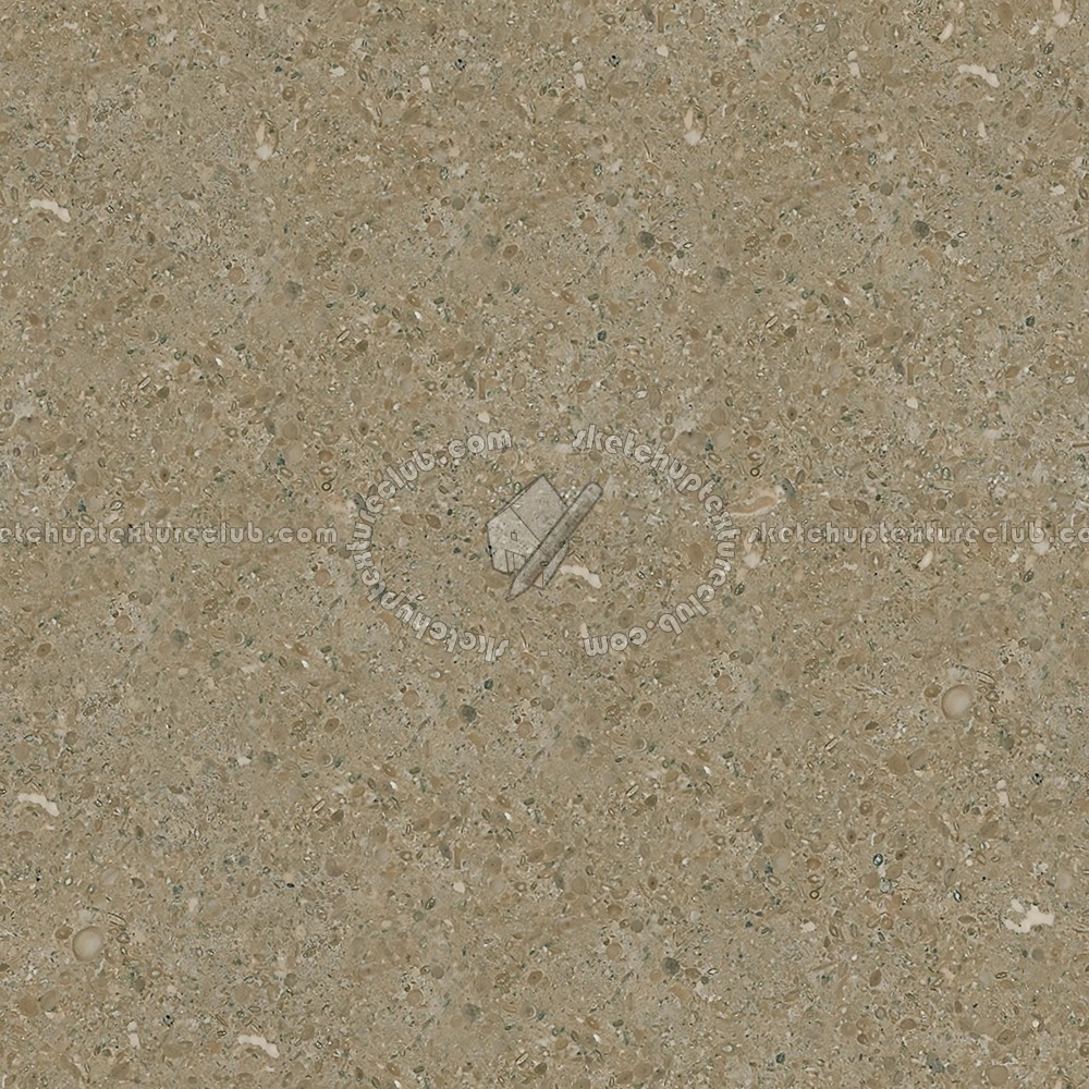 Textures   -   ARCHITECTURE   -   MARBLE SLABS   -   Brown  - Slab marble fossil seamless 02036 (seamless)