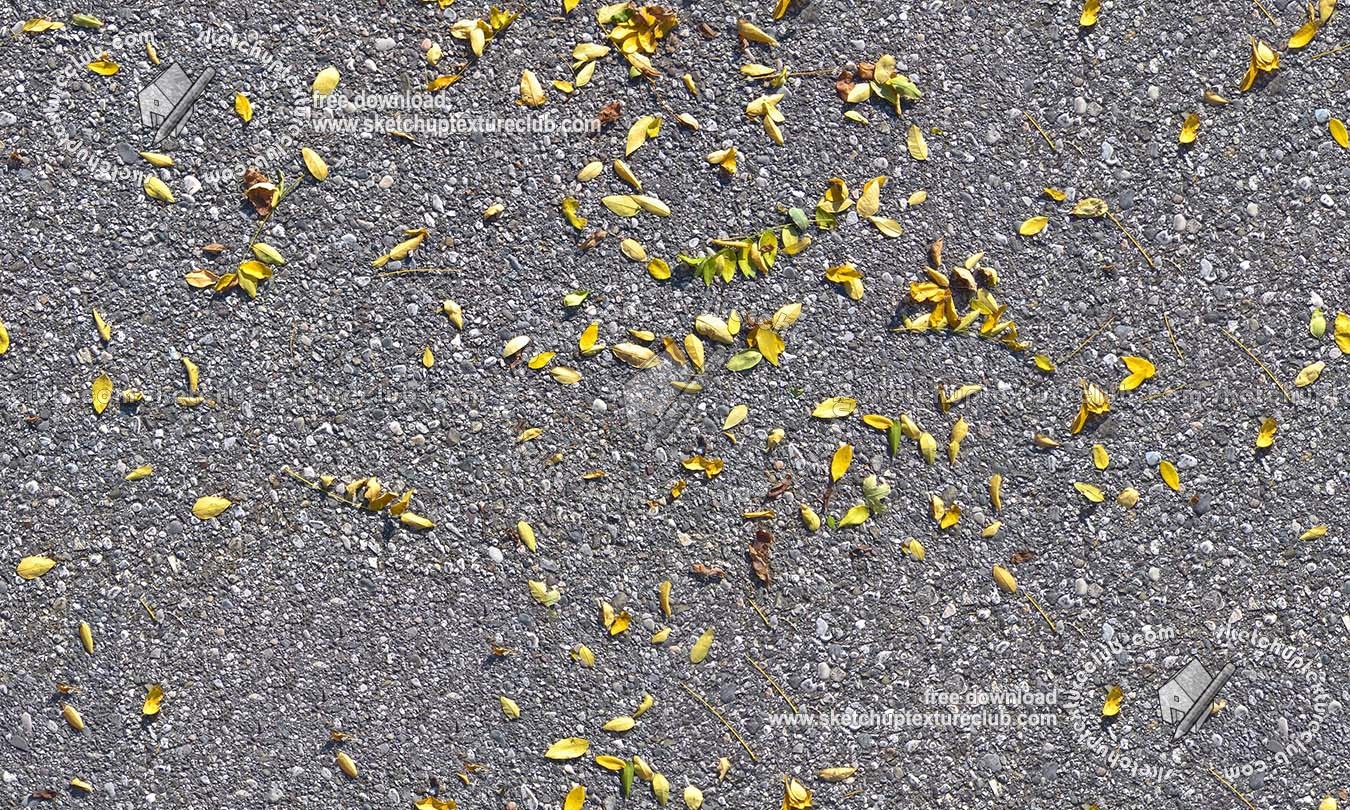 Textures   -   NATURE ELEMENTS   -   VEGETATION   -   Leaves dead  - Asphalt with dead leaves texture seamless 19236 (seamless)