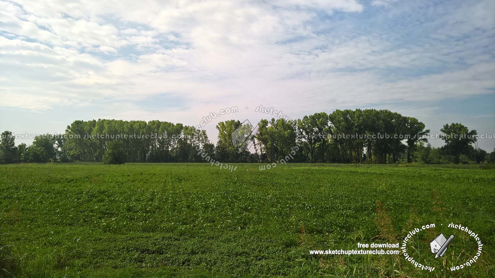 Textures   -   BACKGROUNDS & LANDSCAPES   -   NATURE   -   Countrysides & Hills  - Countrysides green landscape texture 17991