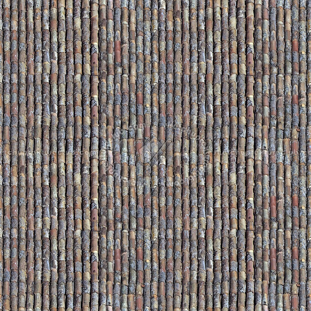 Textures   -   ARCHITECTURE   -   ROOFINGS   -   Clay roofs  - Old clay roofing texture seamless 03409 (seamless)