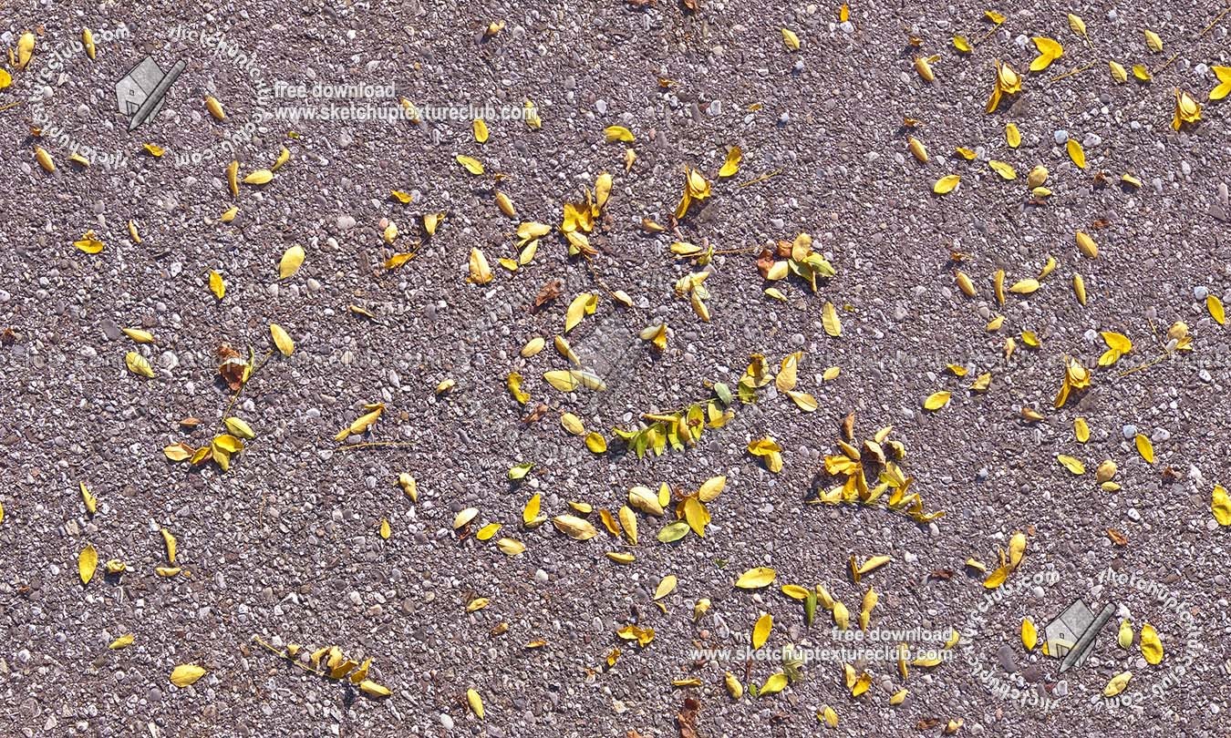Textures - NATURE ELEMENTS - VEGETATION - Leaves dead - Asphalt with dead leaves texture seamless 19237 (seamless)