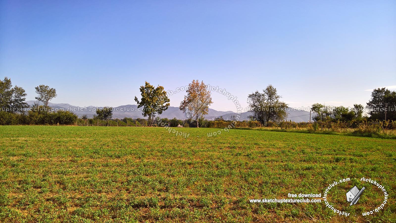 Textures   -   BACKGROUNDS &amp; LANDSCAPES   -   NATURE   -   Countrysides &amp; Hills  - Countrysides green landscape texture 17993