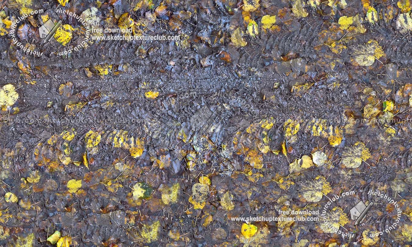 Textures   -   NATURE ELEMENTS   -   VEGETATION   -   Leaves dead  - Leaves dead on muddy ground with tire marks texture seamless 19240 (seamless)