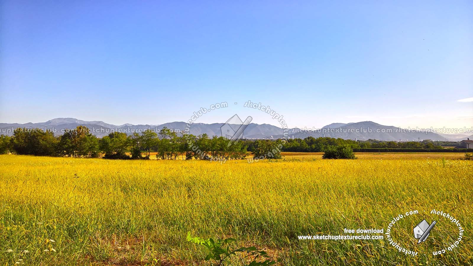Textures   -   BACKGROUNDS &amp; LANDSCAPES   -   NATURE   -   Countrysides &amp; Hills  - Yellow countrysides landscape texture 17995