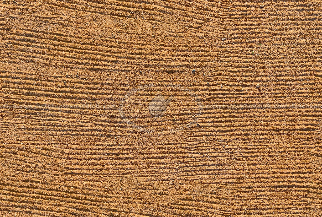 Textures   -   NATURE ELEMENTS   -   SAND  - Yellow sand texture seamless 17523 (seamless)