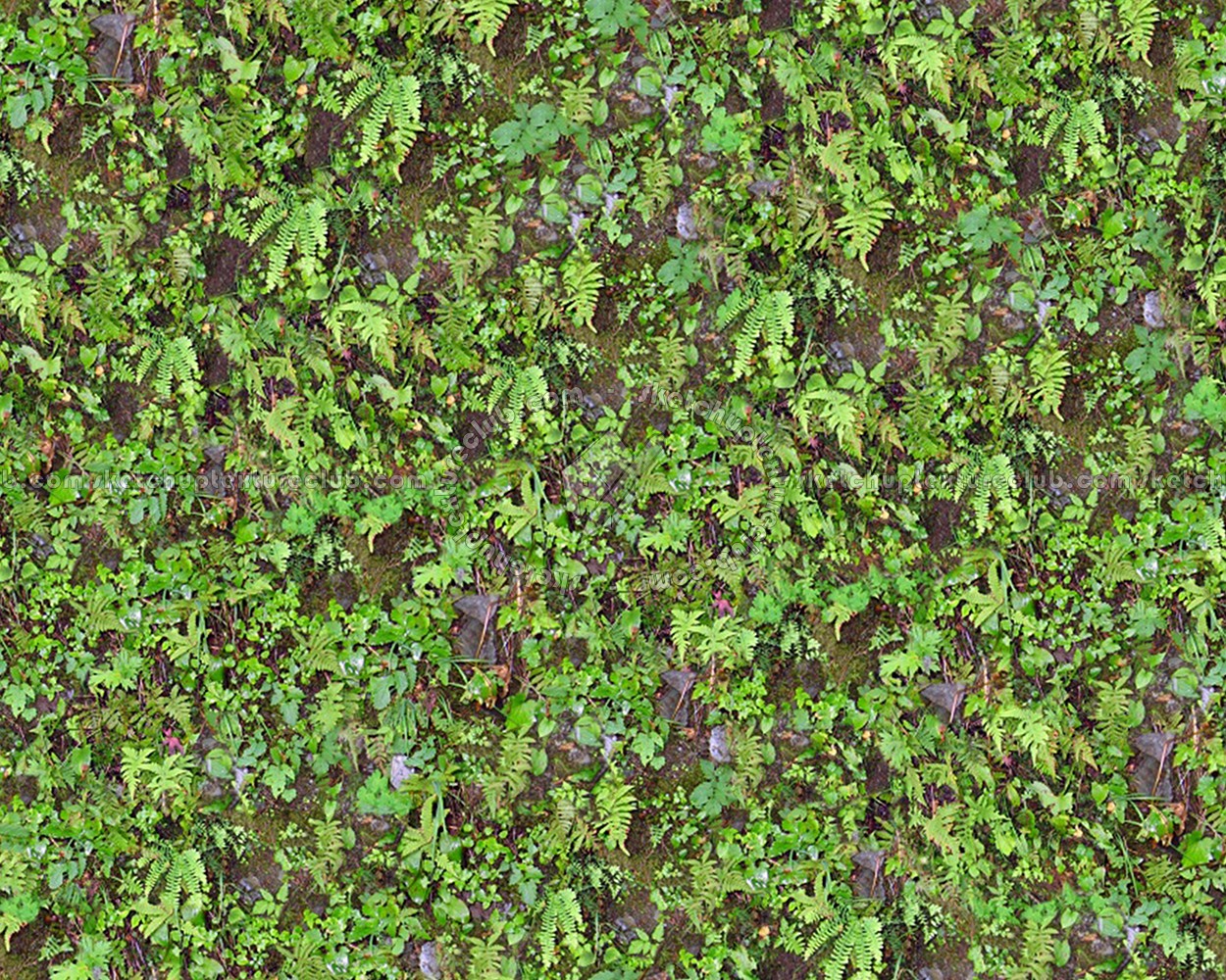 Textures   -   NATURE ELEMENTS   -   VEGETATION   -   Green grass  - Green grass texture seamless 13040 (seamless)
