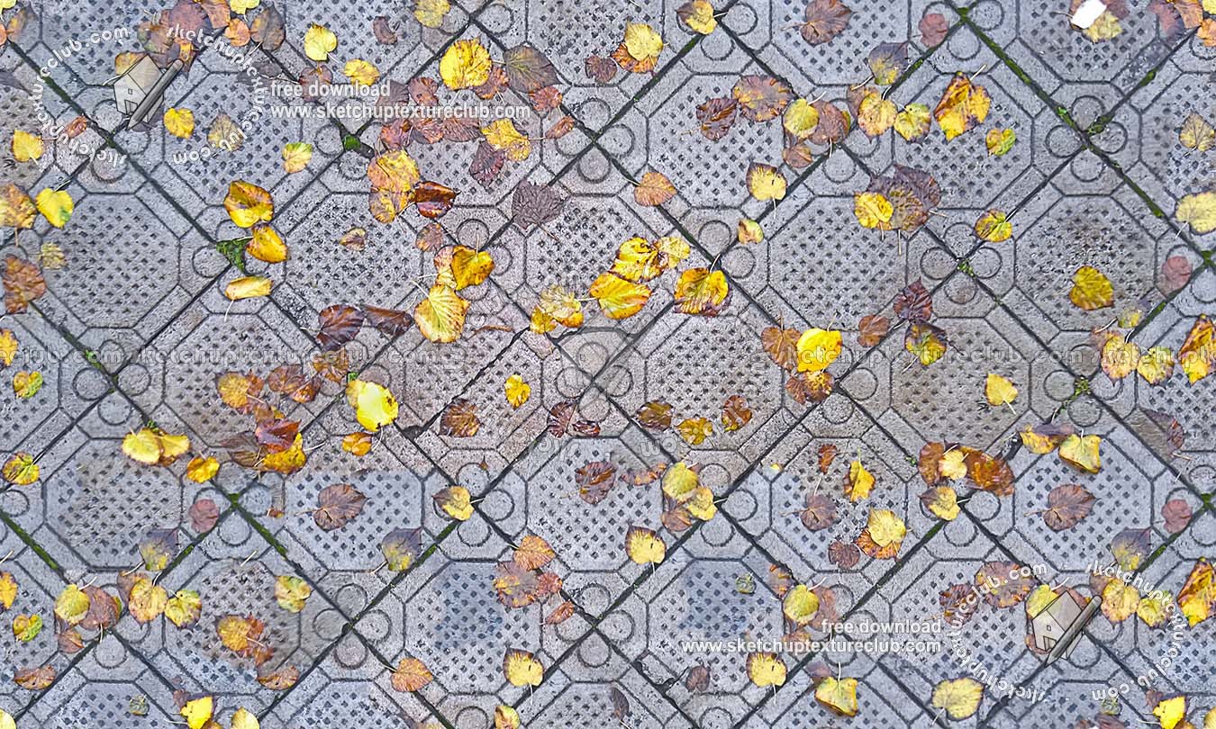 Textures   -   NATURE ELEMENTS   -   VEGETATION   -   Leaves dead  - Wet concrete floor with dead leaves texture seamless 19241 (seamless)