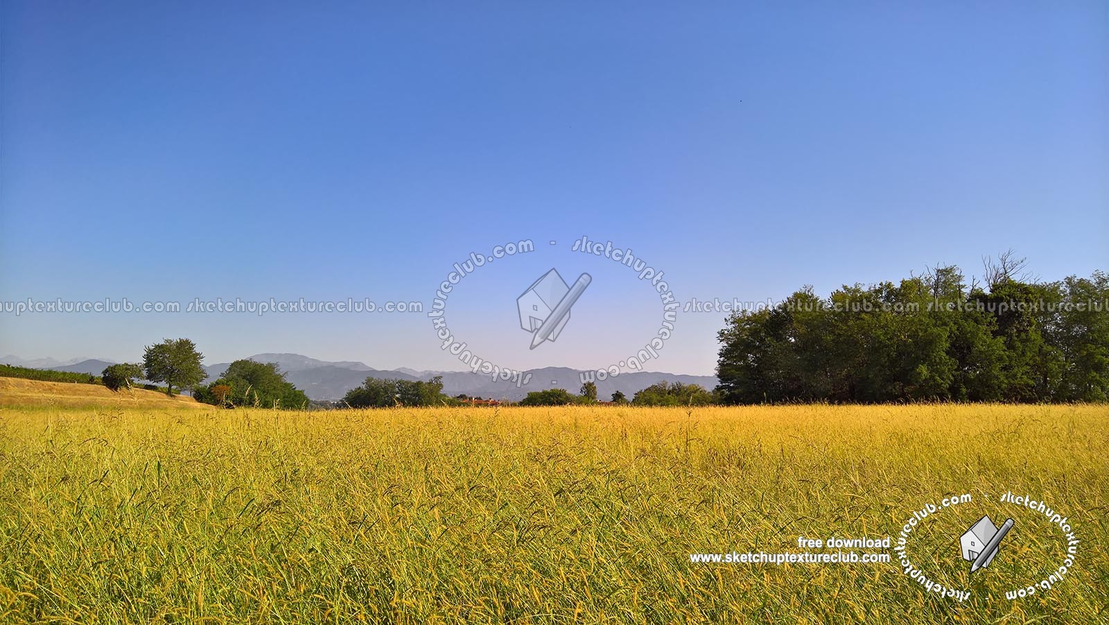 Textures   -   BACKGROUNDS & LANDSCAPES   -   NATURE   -   Countrysides & Hills  - Yellow countrysides landscape texture 17998