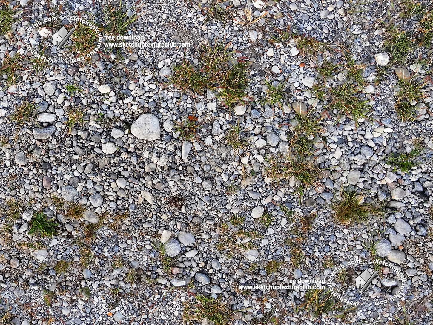 Textures   -   NATURE ELEMENTS   -   SOIL   -   Ground  - Ground with mixed pebbles texture seamless 20307 (seamless)
