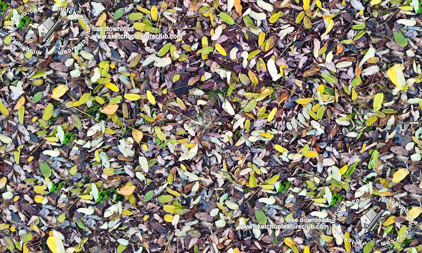Textures   -   NATURE ELEMENTS   -   VEGETATION   -   Leaves dead  - Leaves dead texture seamless 19526 (seamless)
