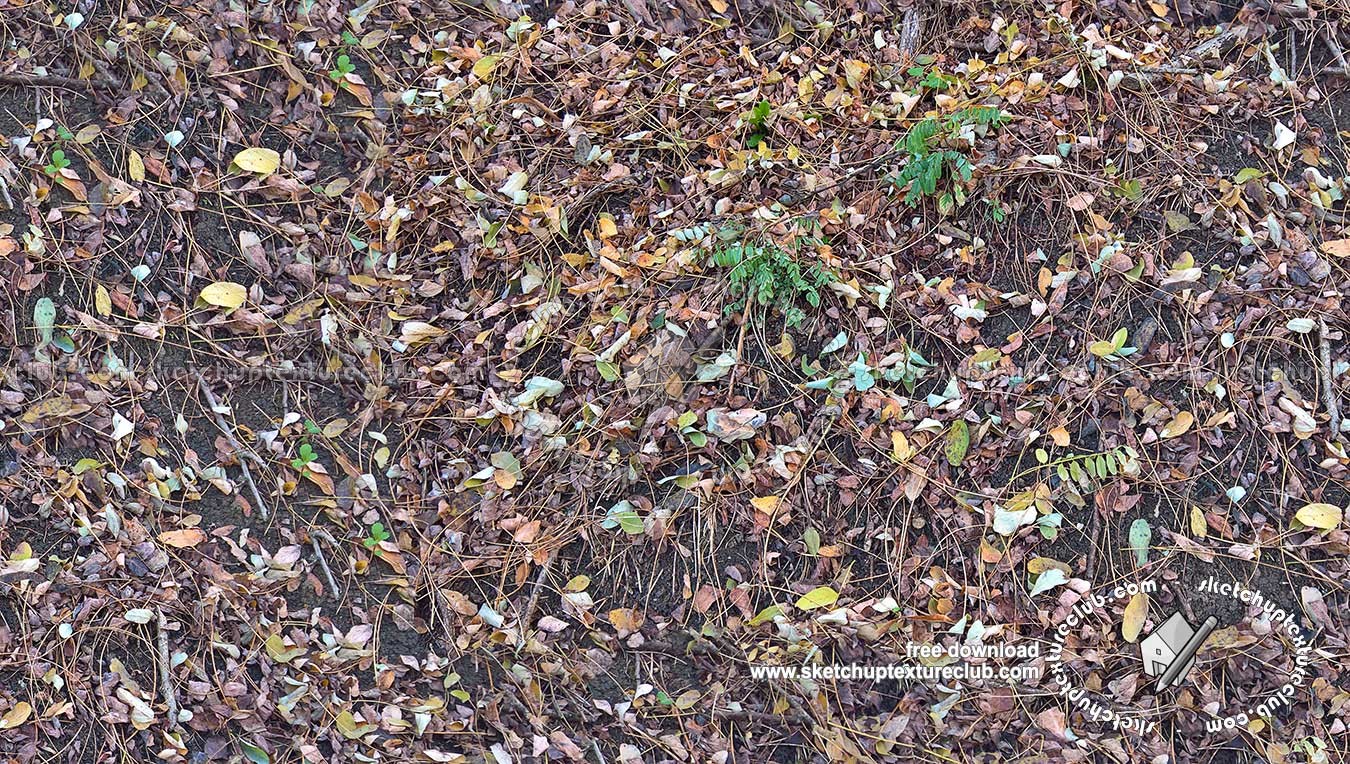 Textures   -   NATURE ELEMENTS   -   VEGETATION   -   Leaves dead  - Leaves dead texture seamless 20436 (seamless)