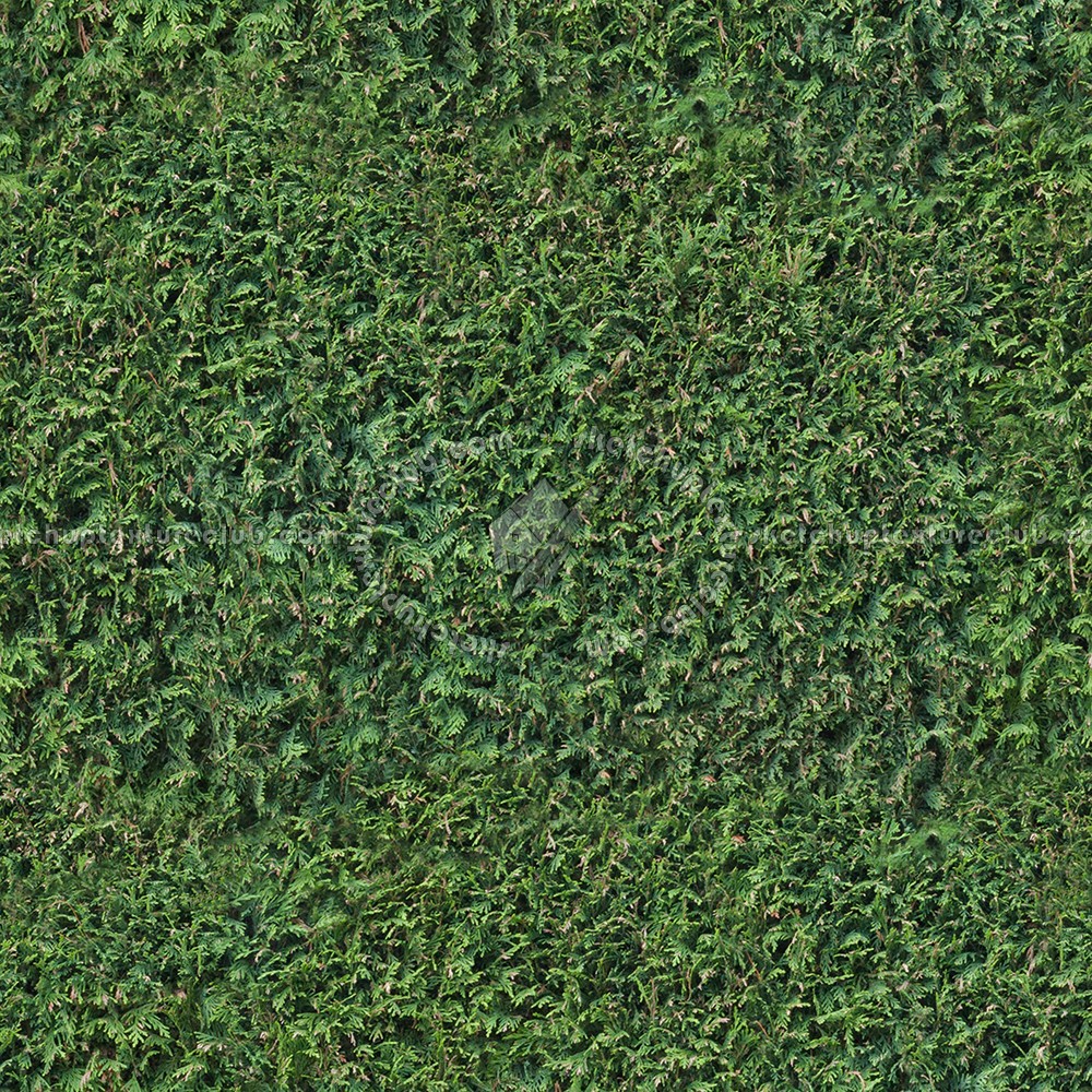Textures   -   NATURE ELEMENTS   -   VEGETATION   -   Green grass  - Green grass texture seamless 13044 (seamless)