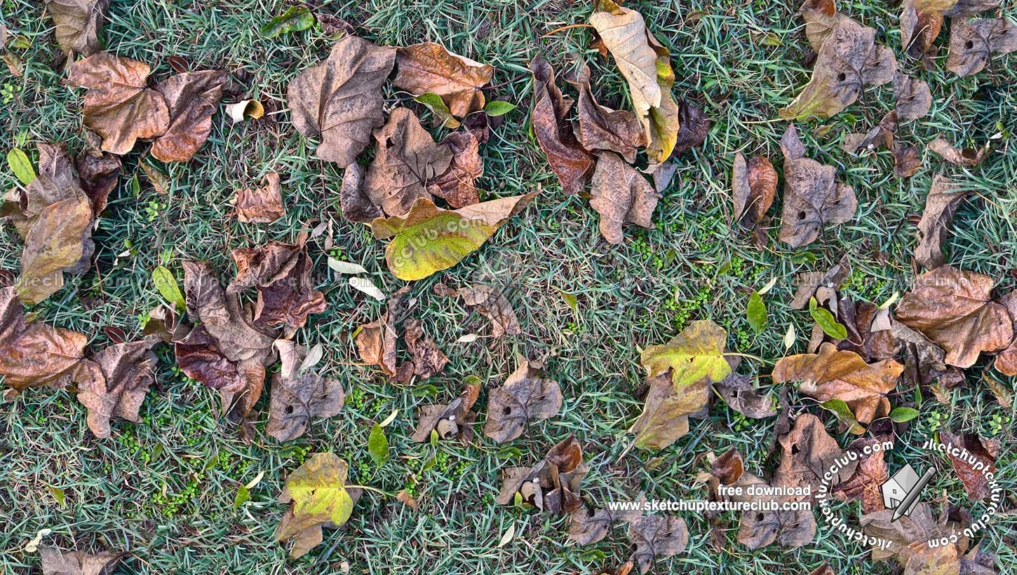 Textures   -   NATURE ELEMENTS   -   VEGETATION   -   Leaves dead  - Leaves dead with grass texture seamless 20437 (seamless)