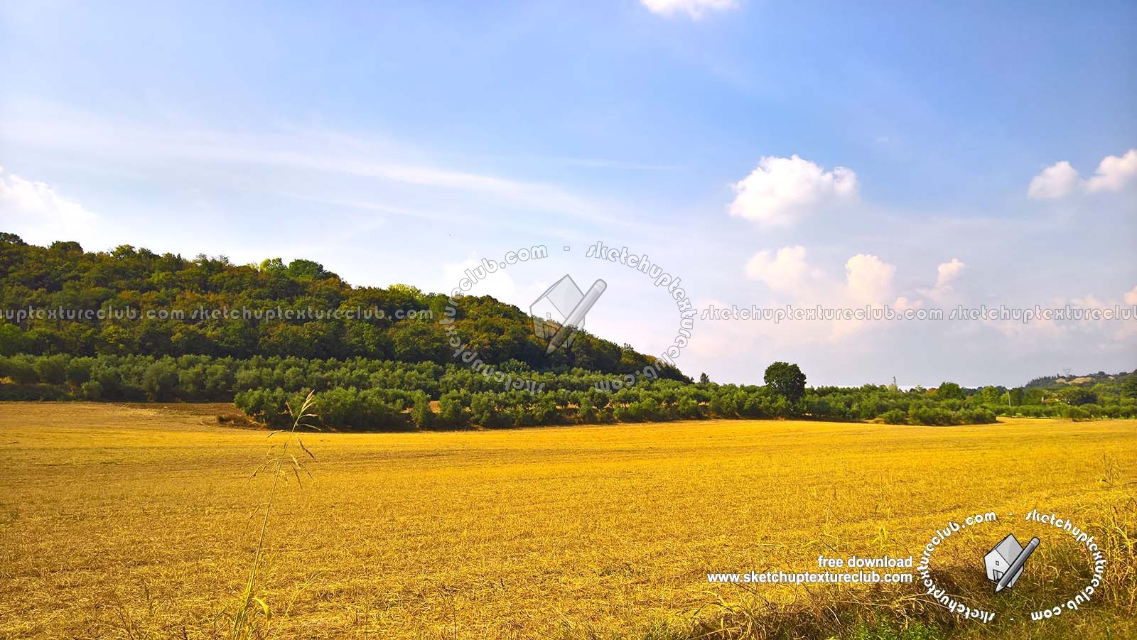 Textures - BACKGROUNDS & LANDSCAPES - NATURE - Countrysides & Hills - Yellow countrysides landscape texture 18005