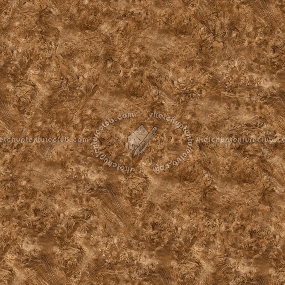 Textures   -   ARCHITECTURE   -   WOOD   -   Fine wood   -   Medium wood  - Burl walnut wood medium color texture seamless 04485 (seamless)