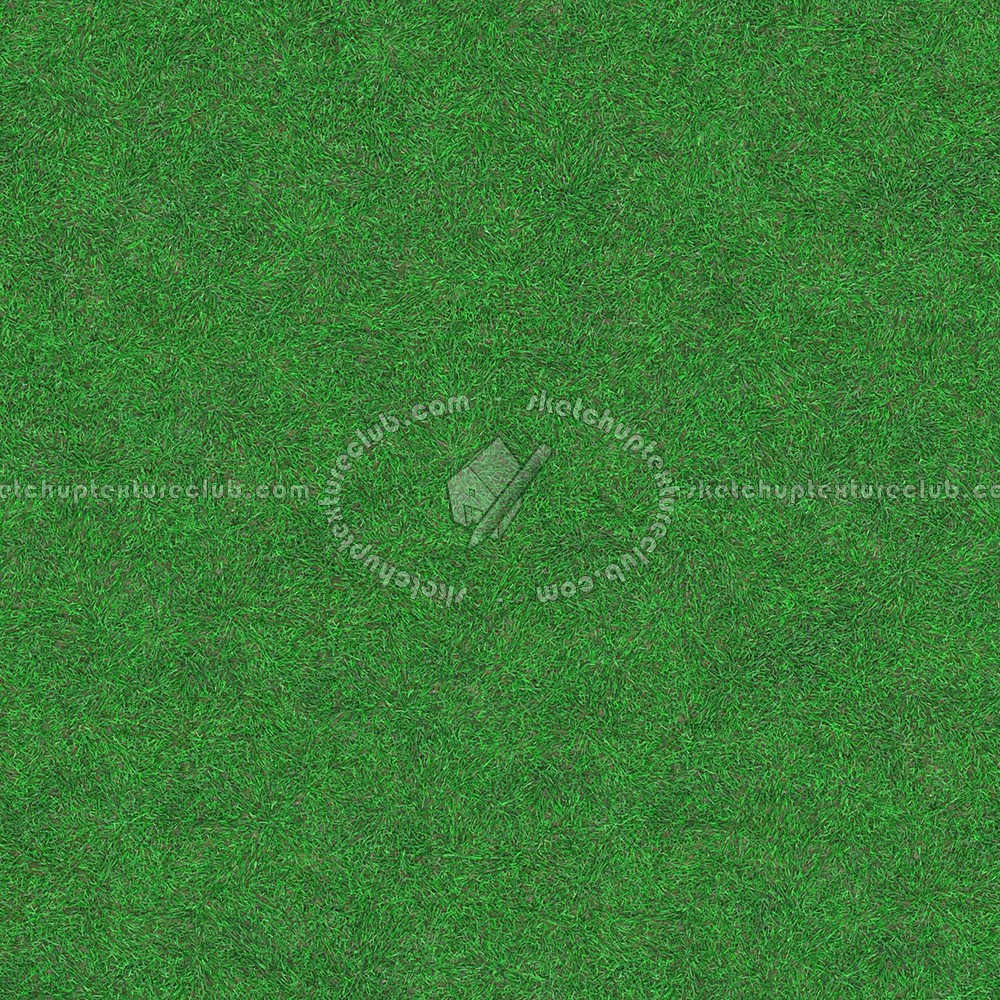 Textures   -   NATURE ELEMENTS   -   VEGETATION   -   Green grass  - Green grass texture seamless 13054 (seamless)