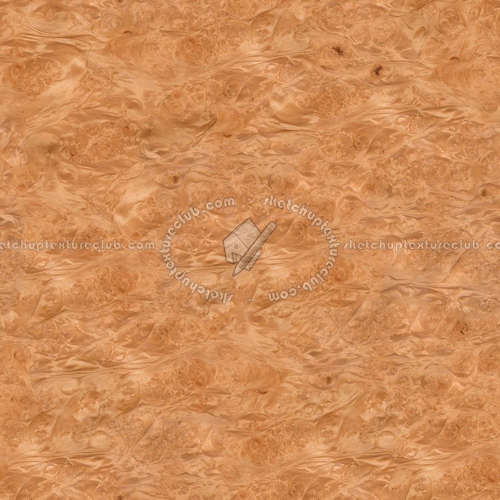 Textures   -   ARCHITECTURE   -   WOOD   -   Fine wood   -   Medium wood  - Maple burl medium color texture seamless 04486 (seamless)