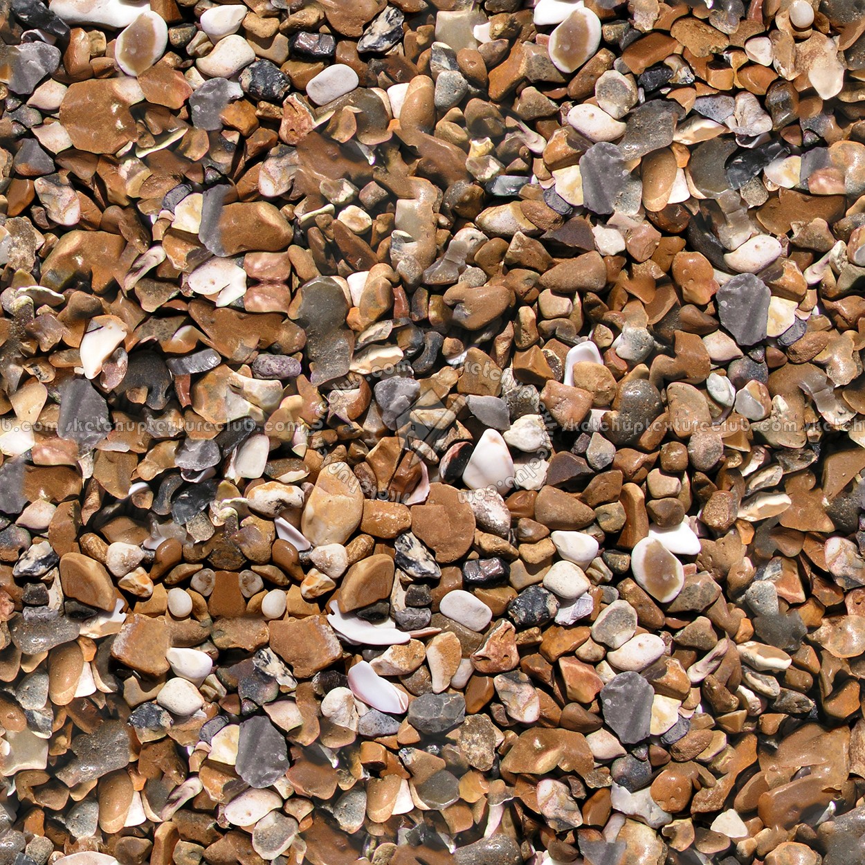 Textures - NATURE ELEMENTS - GRAVEL & PEBBLES - Beach pebbles stone texture seamless 12457 (seamless)
