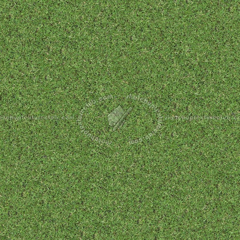 grass texture seamless textures nature vegetation elements lawn landscape px visit
