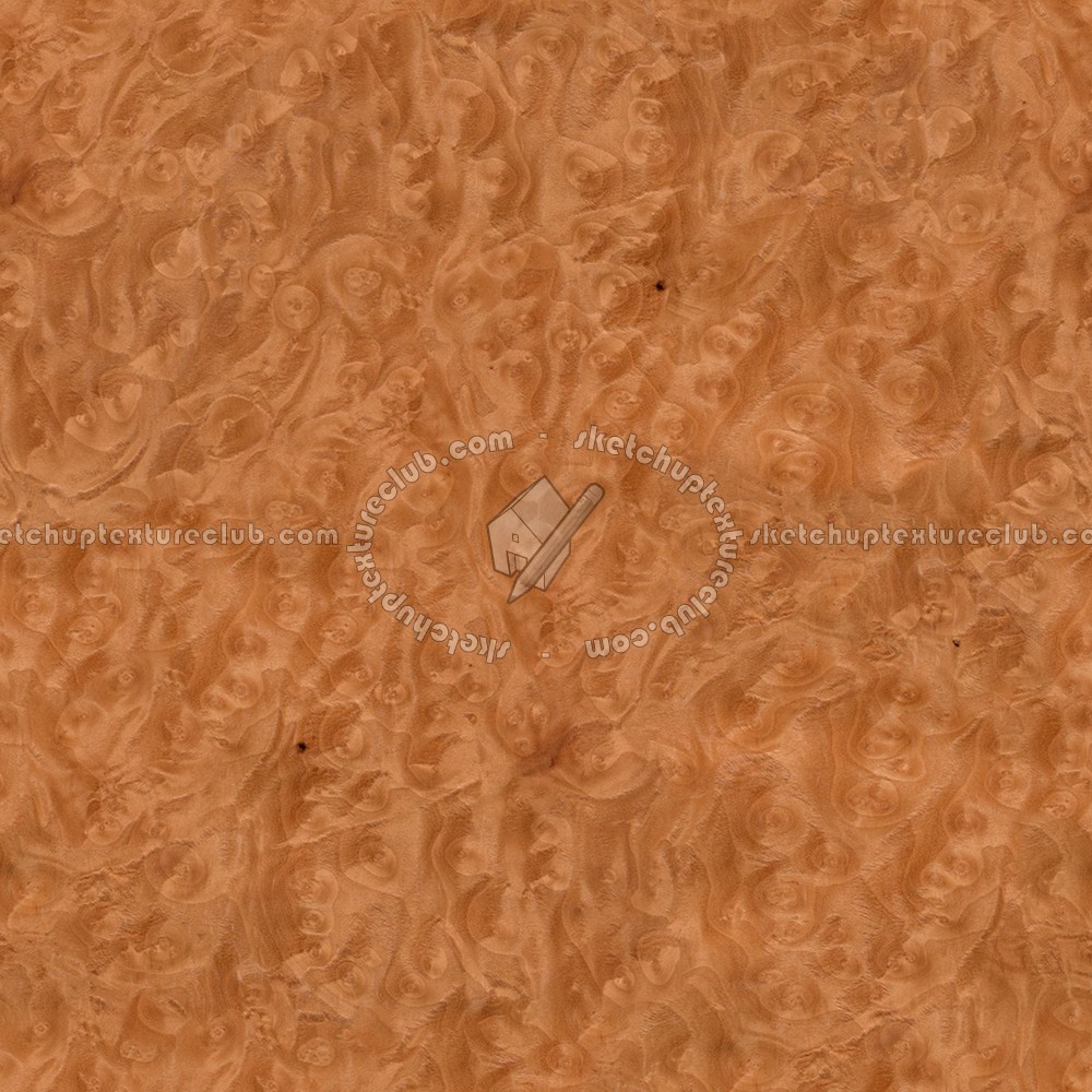 Textures   -   ARCHITECTURE   -   WOOD   -   Fine wood   -   Medium wood  - Madrona burl wood medium color texture seamless 04487 (seamless)