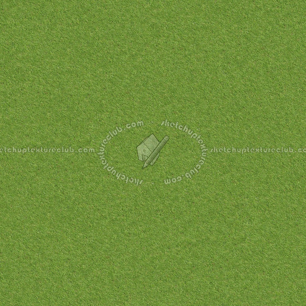 Textures   -   NATURE ELEMENTS   -   VEGETATION   -   Green grass  - Green grass texture seamless 13056 (seamless)