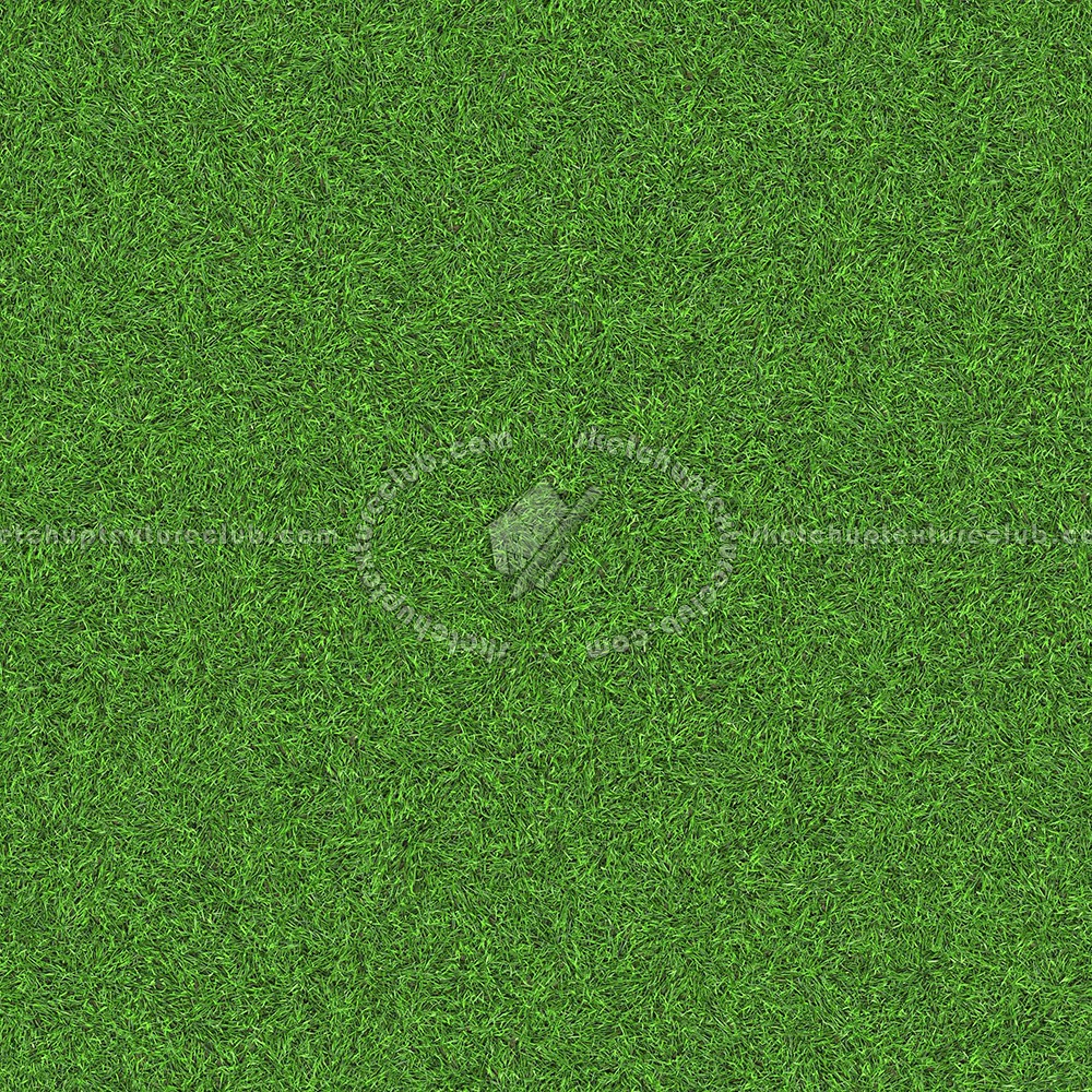 Textures   -   NATURE ELEMENTS   -   VEGETATION   -   Green grass  - Green grass texture seamless 13057 (seamless)