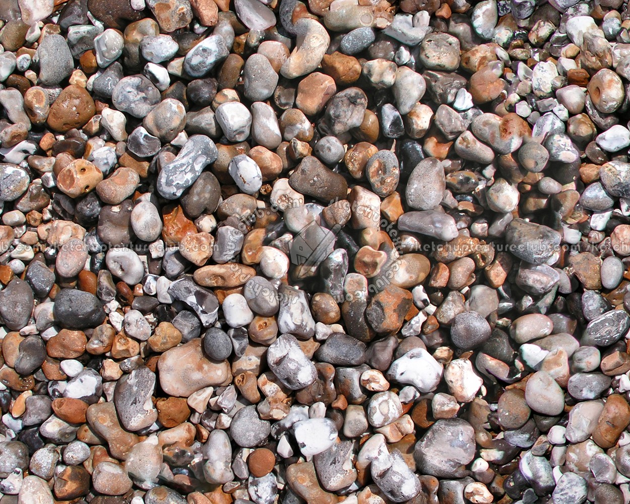 Textures   -   NATURE ELEMENTS   -   GRAVEL &amp; PEBBLES  - Pebbles stone texture seamless 12459 (seamless)